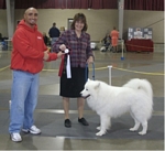 American Bulldog Club